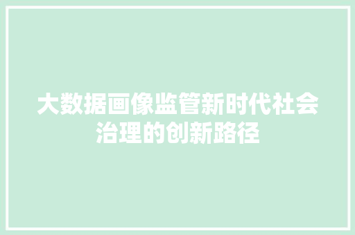 大数据画像监管新时代社会治理的创新路径