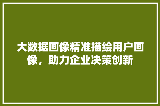 大数据画像精准描绘用户画像，助力企业决策创新