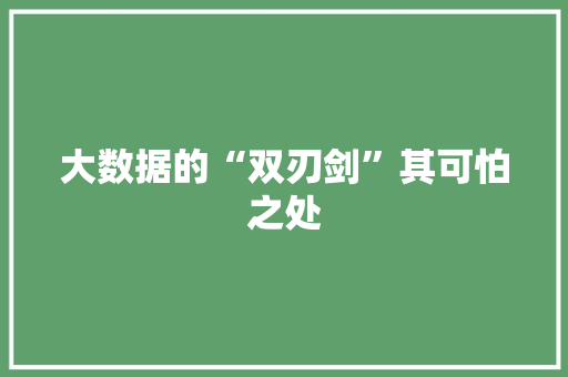 大数据的“双刃剑”其可怕之处