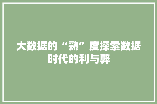 大数据的“熟”度探索数据时代的利与弊 电脑基础