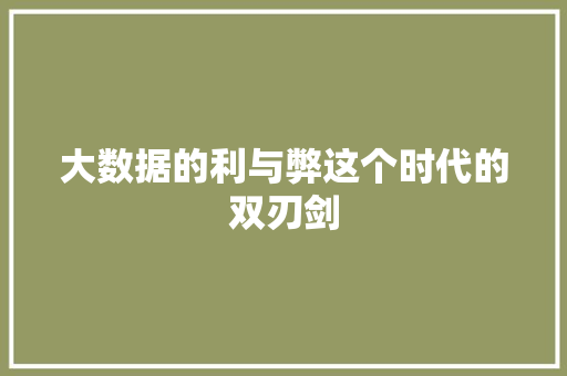大数据的利与弊这个时代的双刃剑