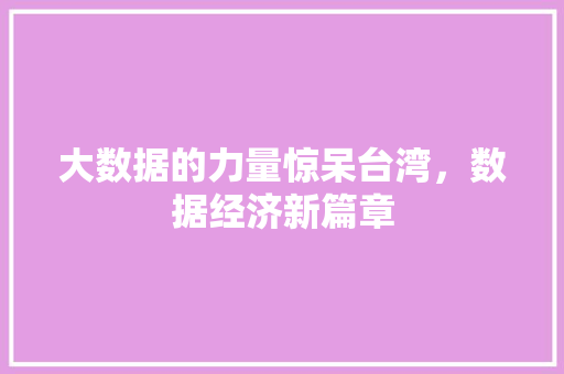 大数据的力量惊呆台湾，数据经济新篇章 编程语言
