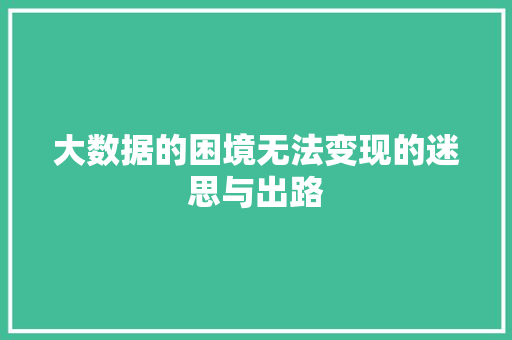 大数据的困境无法变现的迷思与出路 电脑基础