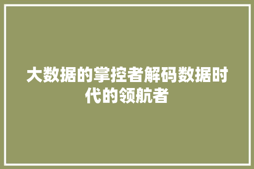 大数据的掌控者解码数据时代的领航者