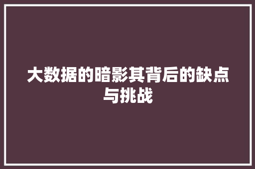 大数据的暗影其背后的缺点与挑战