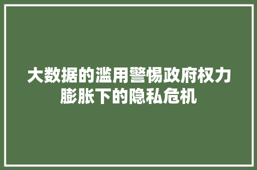 大数据的滥用警惕政府权力膨胀下的隐私危机