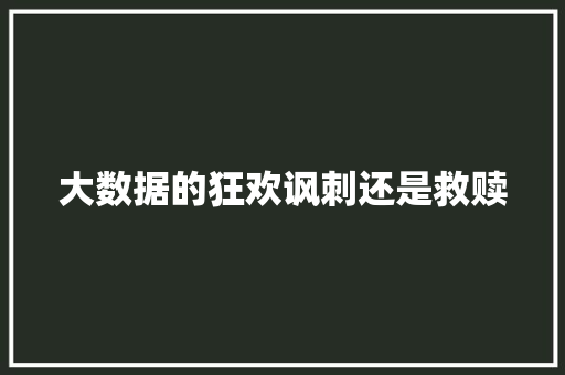 大数据的狂欢讽刺还是救赎