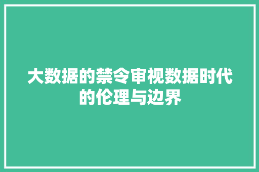 大数据的禁令审视数据时代的伦理与边界