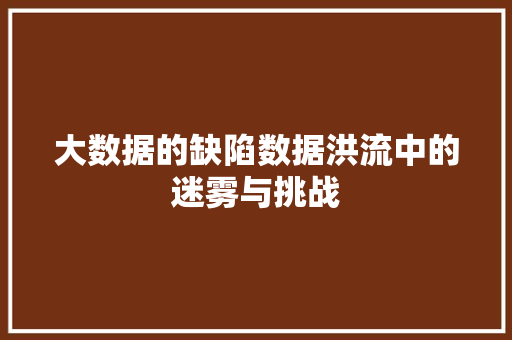大数据的缺陷数据洪流中的迷雾与挑战