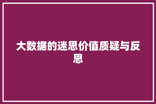 大数据的迷思价值质疑与反思