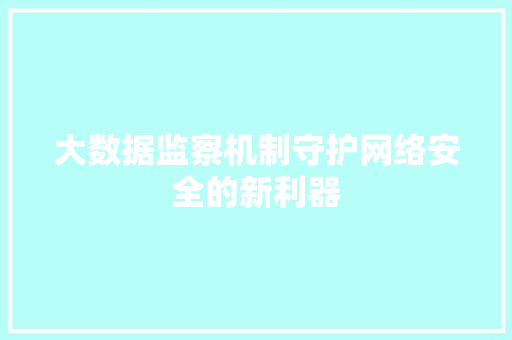 大数据监察机制守护网络安全的新利器