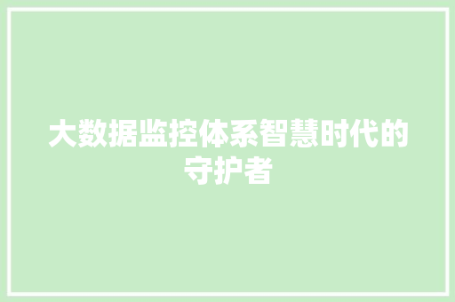 大数据监控体系智慧时代的守护者