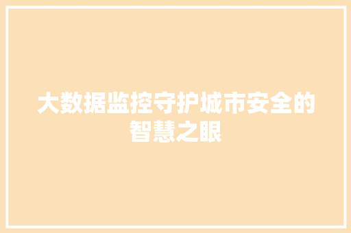 大数据监控守护城市安全的智慧之眼 网络技术