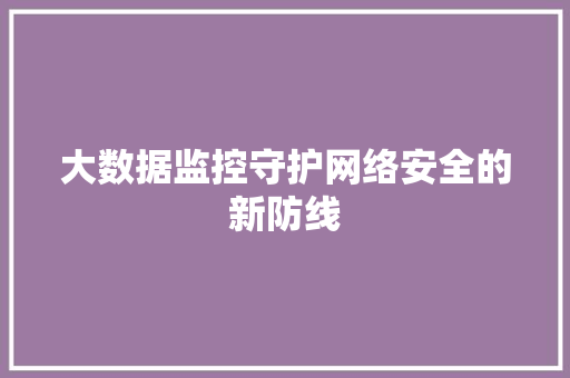 大数据监控守护网络安全的新防线