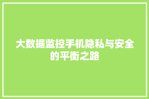 大数据监控手机隐私与安全的平衡之路