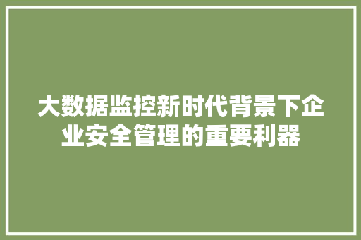 大数据监控新时代背景下企业安全管理的重要利器