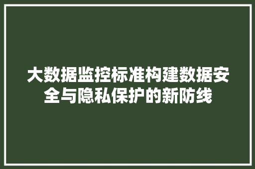 大数据监控标准构建数据安全与隐私保护的新防线