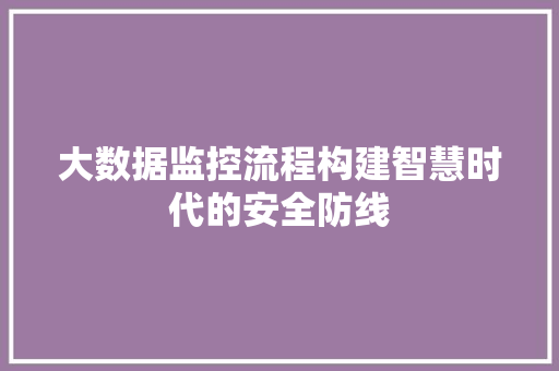 大数据监控流程构建智慧时代的安全防线