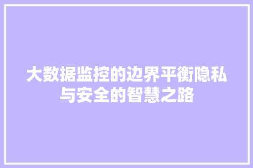 大数据监控的边界平衡隐私与安全的智慧之路