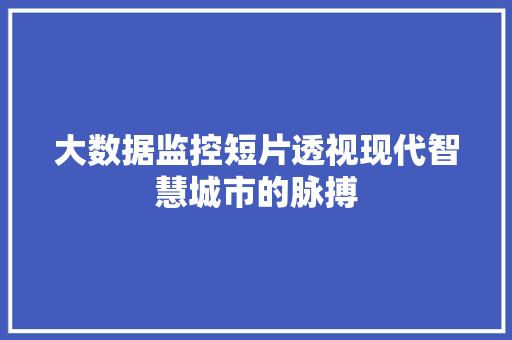 大数据监控短片透视现代智慧城市的脉搏