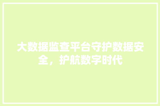 大数据监查平台守护数据安全，护航数字时代 网络技术