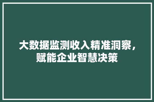 大数据监测收入精准洞察，赋能企业智慧决策