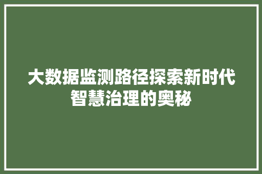 大数据监测路径探索新时代智慧治理的奥秘