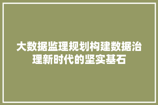 大数据监理规划构建数据治理新时代的坚实基石