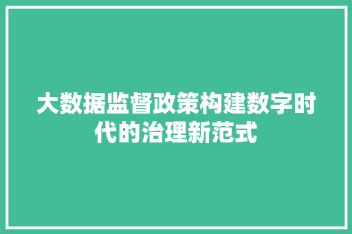 大数据监督政策构建数字时代的治理新范式
