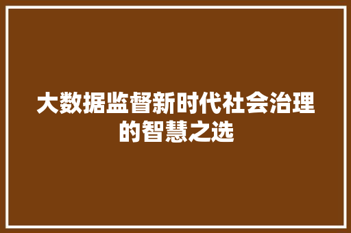 大数据监督新时代社会治理的智慧之选