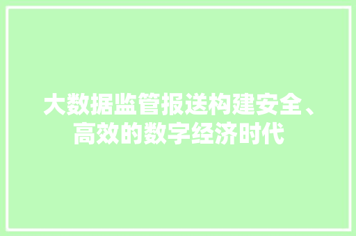 大数据监管报送构建安全、高效的数字经济时代