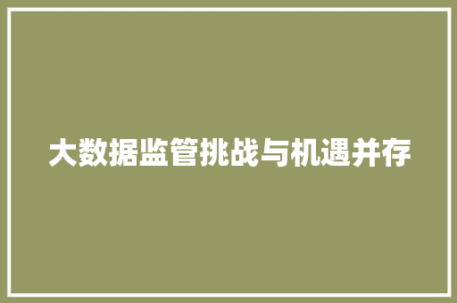 大数据监管挑战与机遇并存