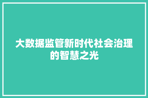 大数据监管新时代社会治理的智慧之光