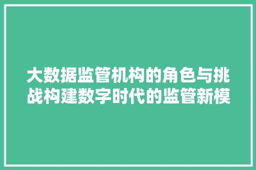 大数据监管机构的角色与挑战构建数字时代的监管新模式