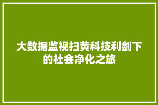 大数据监视扫黄科技利剑下的社会净化之旅