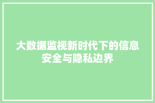 大数据监视新时代下的信息安全与隐私边界