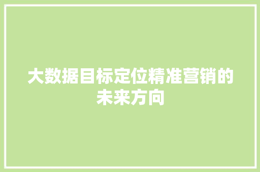 大数据目标定位精准营销的未来方向