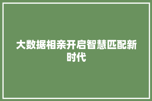 大数据相亲开启智慧匹配新时代 大数据相亲开启智慧匹配新时代