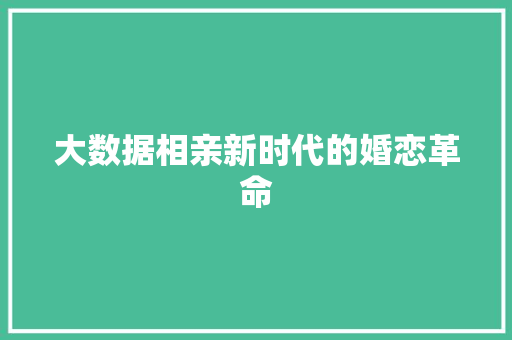 大数据相亲新时代的婚恋革命