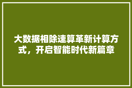 大数据相除速算革新计算方式，开启智能时代新篇章