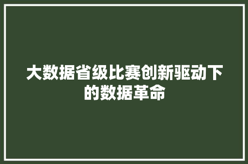 大数据省级比赛创新驱动下的数据革命