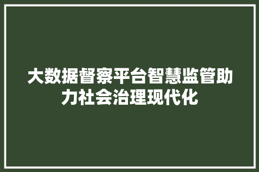大数据督察平台智慧监管助力社会治理现代化 大数据督察平台智慧监管助力社会治理现代化