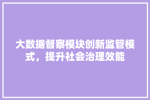 大数据督察模块创新监管模式,提升社会治理效能 大数据督察模块创新监管模式,提升社会治理效能