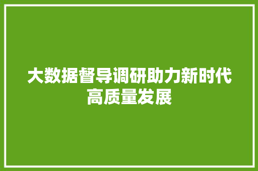 大数据督导调研助力新时代高质量发展 电脑故障维修