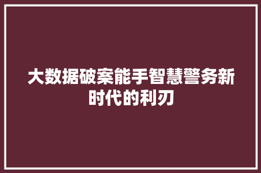 大数据破案能手智慧警务新时代的利刃