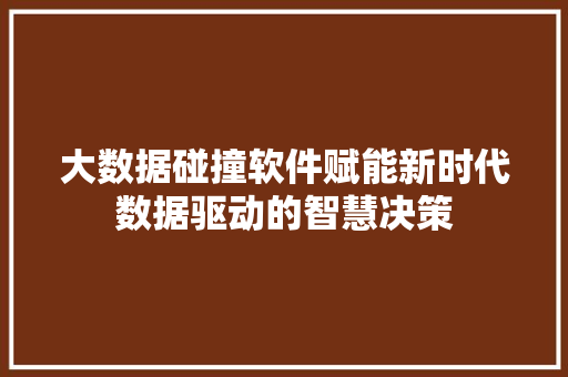 大数据碰撞软件赋能新时代数据驱动的智慧决策 大数据碰撞软件赋能新时代数据驱动的智慧决策