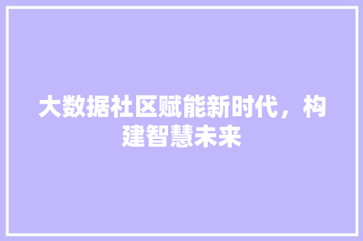 大数据社区赋能新时代,构建智慧未来 大数据社区赋能新时代,构建智慧未来