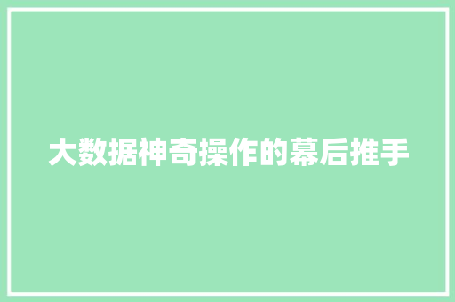 大数据神奇操作的幕后推手