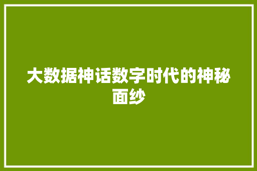 大数据神话数字时代的神秘面纱 大数据神话数字时代的神秘面纱