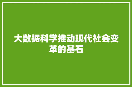 大数据科学推动现代社会变革的基石